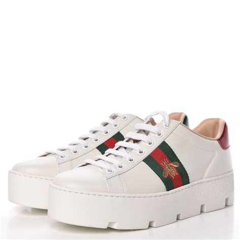 gucci ace femme